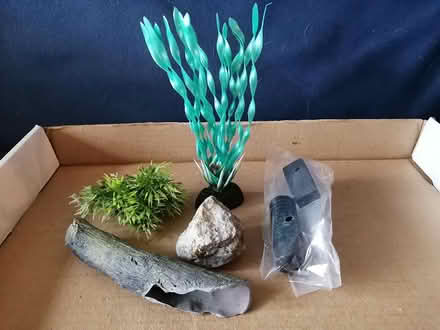 Photo of free Fish Tank Accessories (Old Ottawa East) #3