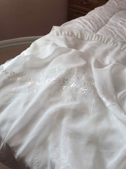 Photo of free 2 wide net curtains (Frimley) #3