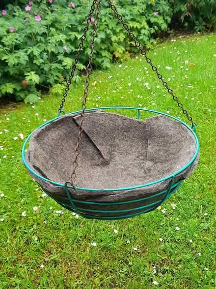 Photo of free Hanging basket (Roseburn EH12) #1