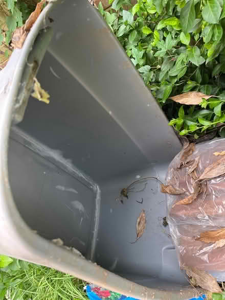 Photo of free plastic bin (20910) #2