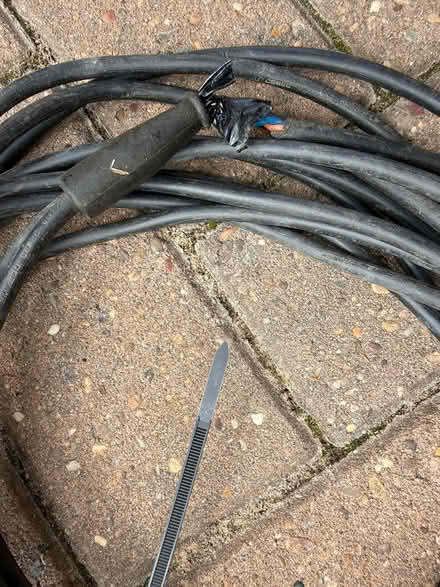 Photo of free Electric Telescopic Hedge Trimmer (East Barming ME16) #3