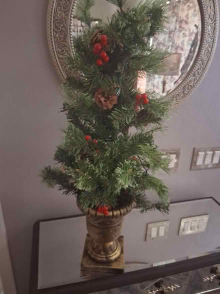 Photo of free 3 foot Christmas tree (Snell and Santa Teresa) #1