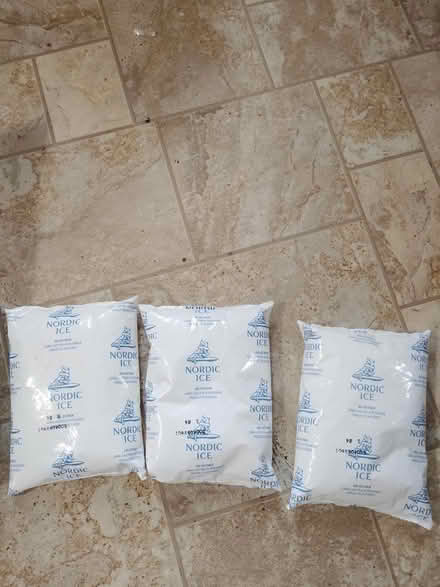 Photo of free freezable ice pack paper padded bag (Teaneck) #2