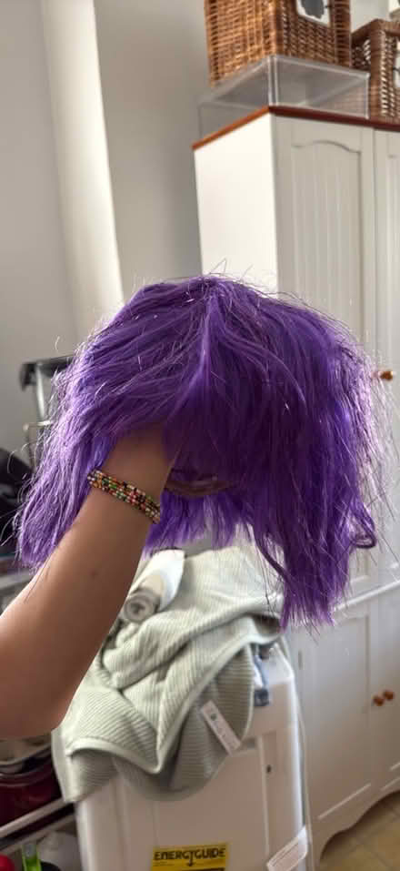 Photo of free Purple wig (Cliffside Park) #1