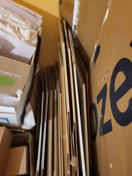Photo of free Boxes & Packing Materials (Elmvale Acres) #3