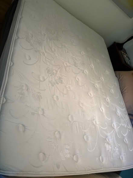 Photo of free Select Number Bed (East Side of City of Sonoma) #1