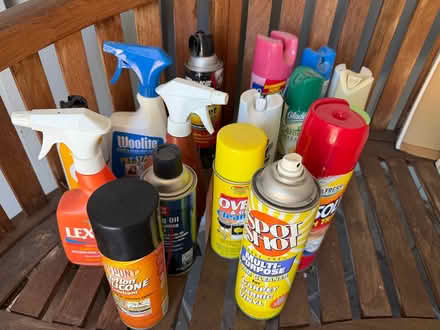 Photo of free Cleaning supplies (Sunnyvale near Raynor Park.) #1
