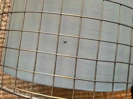 Photo of free Ceiling light shade (Consett) #3