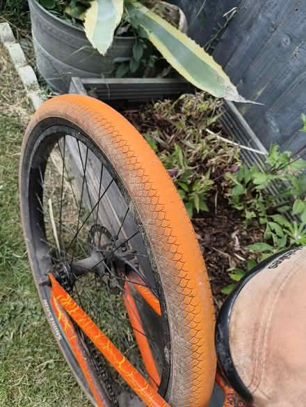 Photo of free Mafia Medusa Bike (Prittlewell SS2) #2