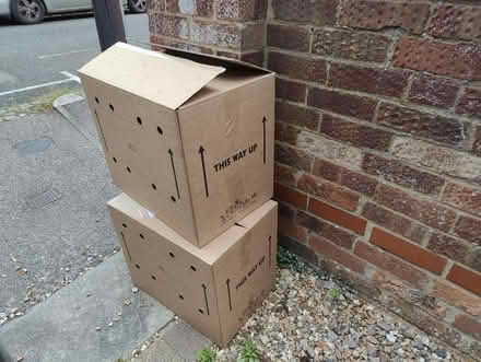 Photo of free Cardboard boxes (Bedford) #1
