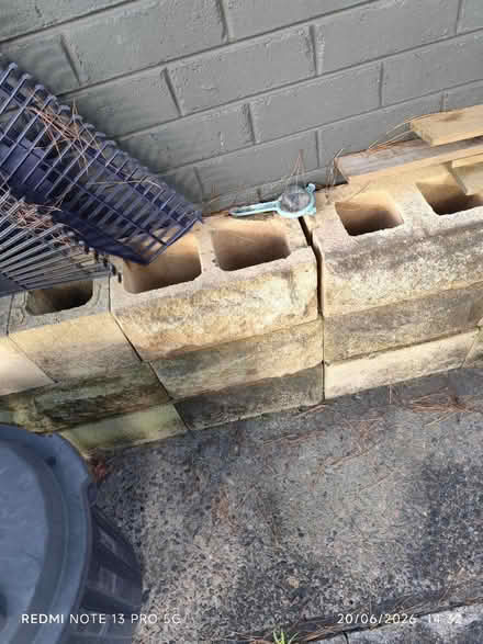 Photo of free Concrete blocks (Bullaburra nsw) #2