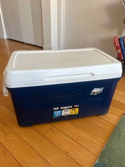Photo of free Blue Igloo Cooler (Midtown West) #1