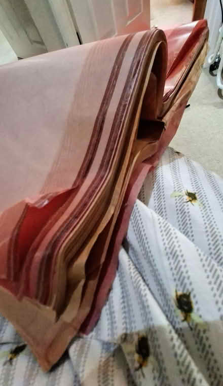 Photo of free Flower wrapping paper (CB4 3RS) #2
