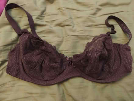 Photo of free Purple wired bra (Shard End, B34) #1