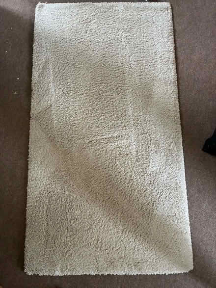 Photo of free Natural colour ikea rug (Sherrard's Green WR14) #1