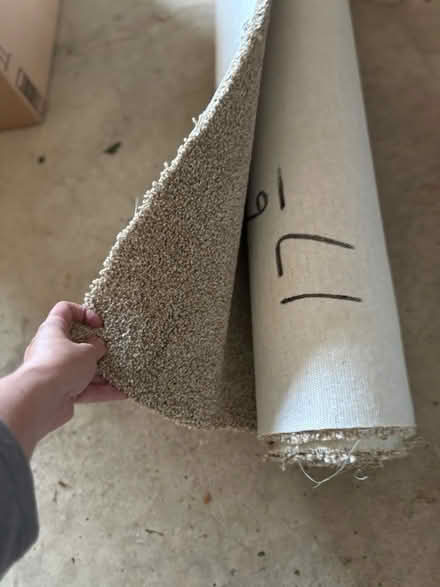 Photo of free New condition carpeting (Berwyn) #2