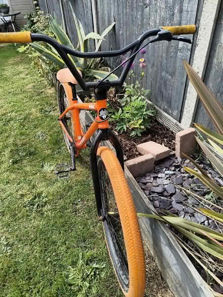 Photo of free Mafia Medusa Bike (Prittlewell SS2) #3