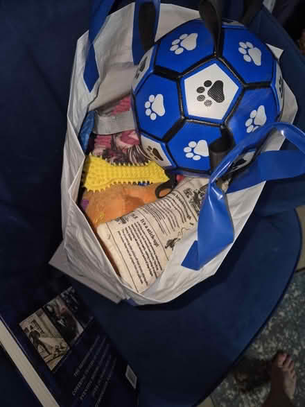 Photo of free Bag full of dog toys (RG2 Shinfield) #1
