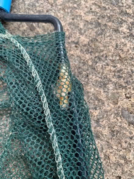 Photo of free 2 children’s fishing nets (Malvern WR14) #2