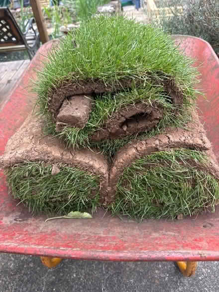 Photo of free 2 rolls of turf, and half a roll (Bulwell NG6) #1