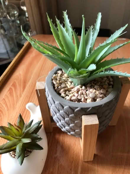 Photo of free Artificial plants for decoration (Stoneferry HU7) #1