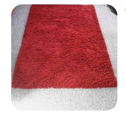Photo of free Shaggy Rug (High Wycombe) #1