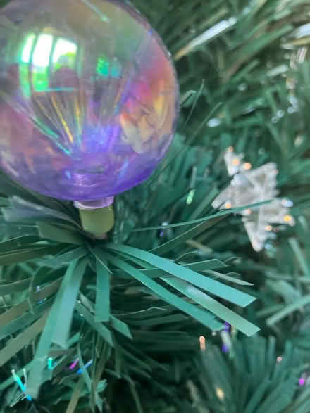 Photo of free Fibre optic Christmas tree (PA3) #4