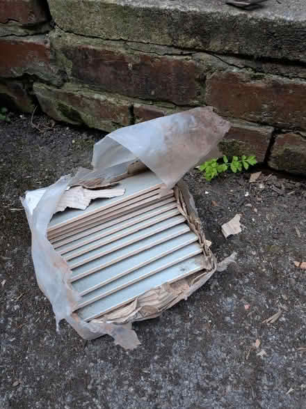 Photo of free Tiles - light green x12 (Woodseats S8) #1