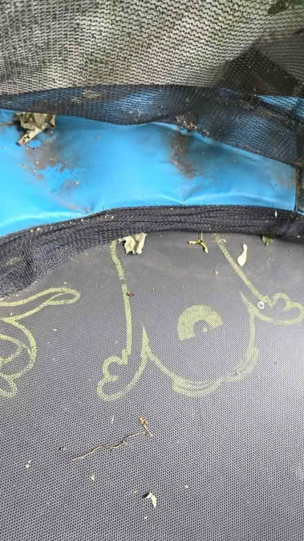 Photo of free Trampoline (Gravelly Hill B23) #3