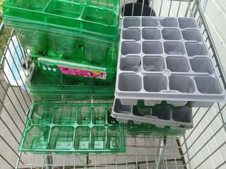 Photo of free Seed trays (Woodley RG5) #1