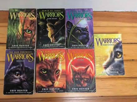 Photo of free YA Books: Warriors (East Somerville) #1