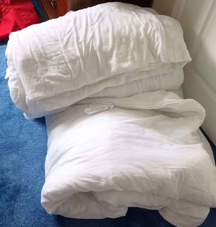 Photo of free Two duvets - King size (Bromham MK43) #1