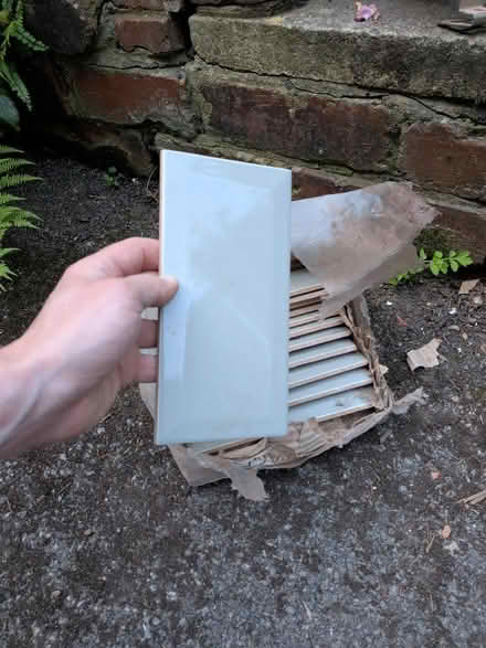 Photo of free Tiles - light green x12 (Woodseats S8) #2