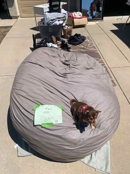 Photo of free Big Joe giant bean bag, rug (ELK GROVE around Trader Joe’s) #1
