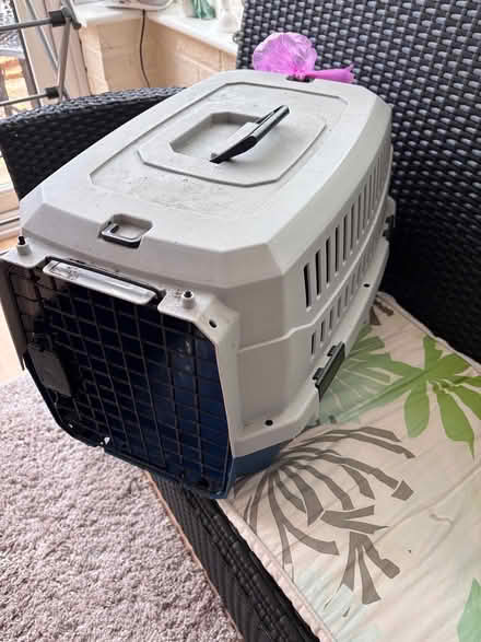 Photo of free Dog carriers (DY8 Wordsley) #4