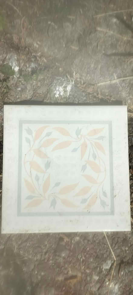 Photo of free Wall tiles (Innishannon) #1