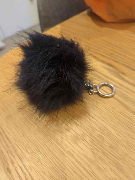 Photo of free Pom pom key chain (OX4 Boulter Street) #1