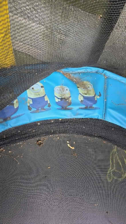 Photo of free Trampoline (Gravelly Hill B23) #2