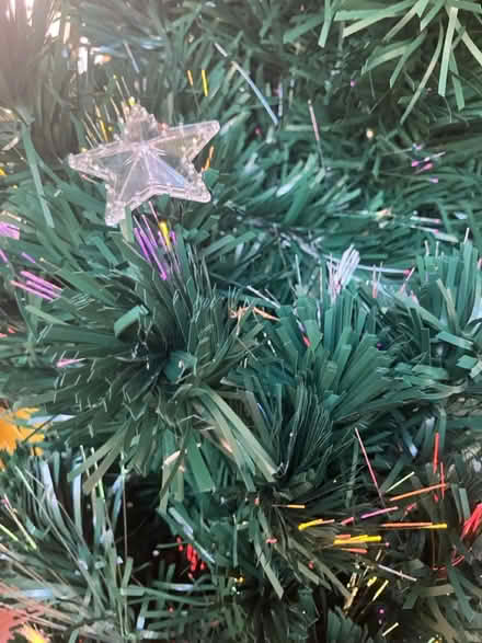 Photo of free Fibre optic Christmas tree (PA3) #3