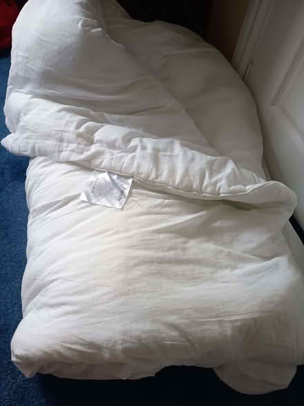 Photo of free Two duvets - King size (Bromham MK43) #4