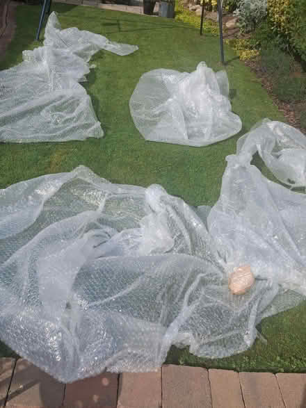 Photo of free Bubblewrap (Brickhill MK41) #1