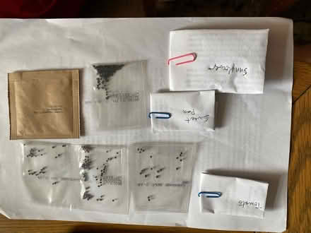 Photo of free Seeds (Tunbury Wood ME5) #1