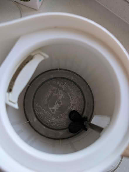 Photo of free kettle (LS26 Great Preston) #2