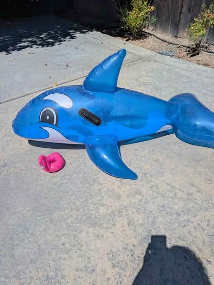 Photo of free Pool toys (Cupertino/Saratoga border) #1