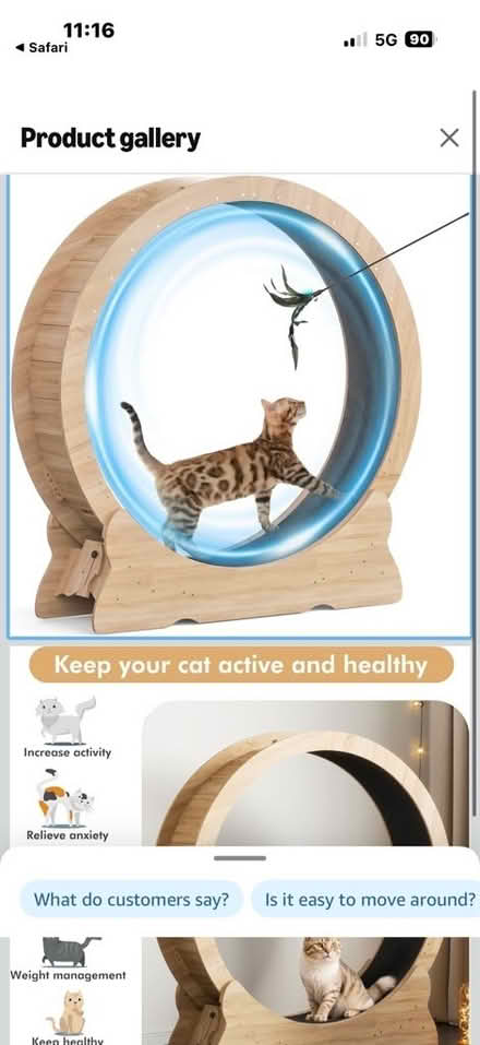 Photo of Cat exercise wheel (Swarkestone DE73) #1