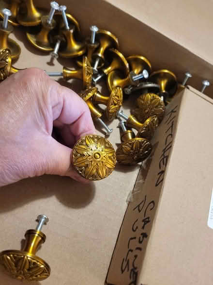 Photo of free Brass Drawer/Door Pulls (Elmvale Acres) #1