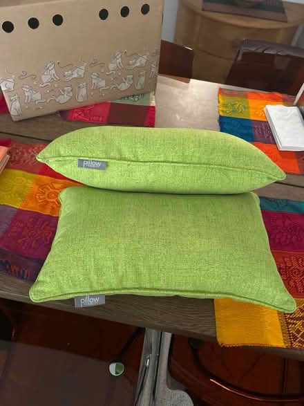 Photo of free 2 Small outdoor pillows (Claremont Hills, Oakland) #3