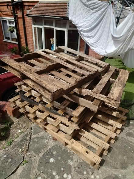 Photo of free Old pallets (RG4) #1