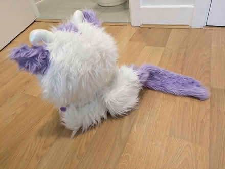 Photo of free Interactive toy (Woodberry Down, N4) #2