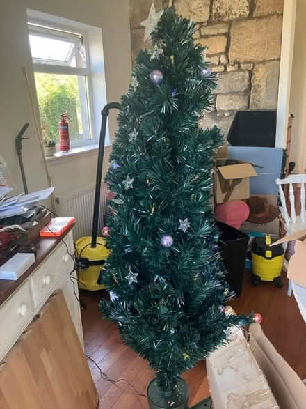 Photo of free Fibre optic Christmas tree (PA3) #1